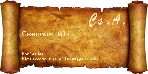 Csernus Aliz névjegykártya